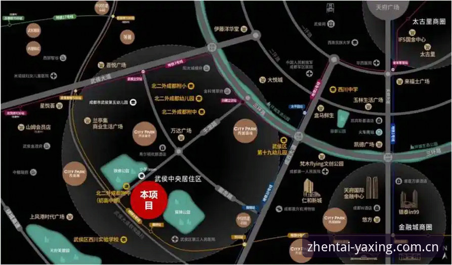 凝练本真态度CN体育入口 亚星体育平台深度评测:数据派的观赛新武器