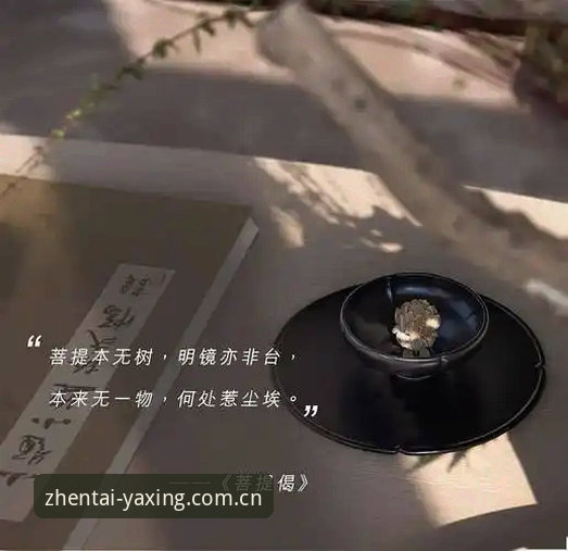 凝练本真态度官方入口使用心得：一位竞彩分析师的实战笔记