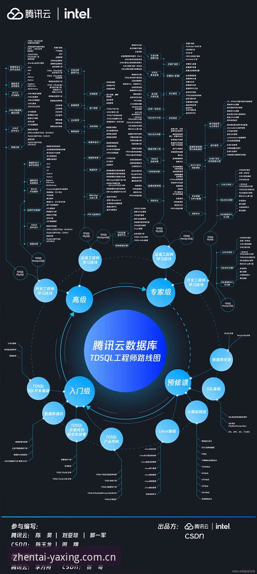 资深用户实测：凝练本真态度更新日志2026最新版本的真实使用心得